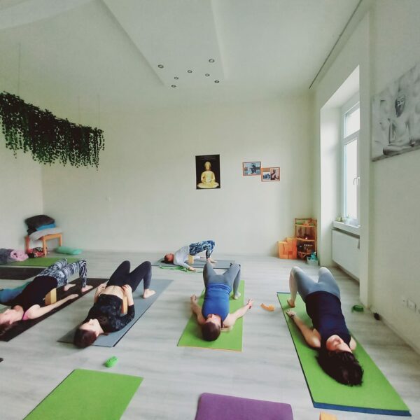 Noi-joga-oktatokepzes-onismereti-program- elevenyoga
