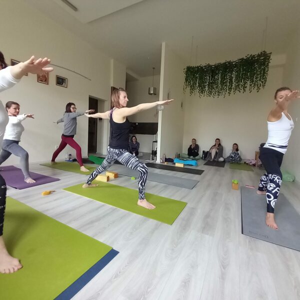 Noi-joga-oktatokepzes-onismereti-program- elevenyoga