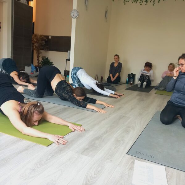 Noi-joga-oktatokepzes-onismereti-program- elevenyoga